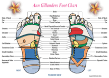 Reflexology Chart